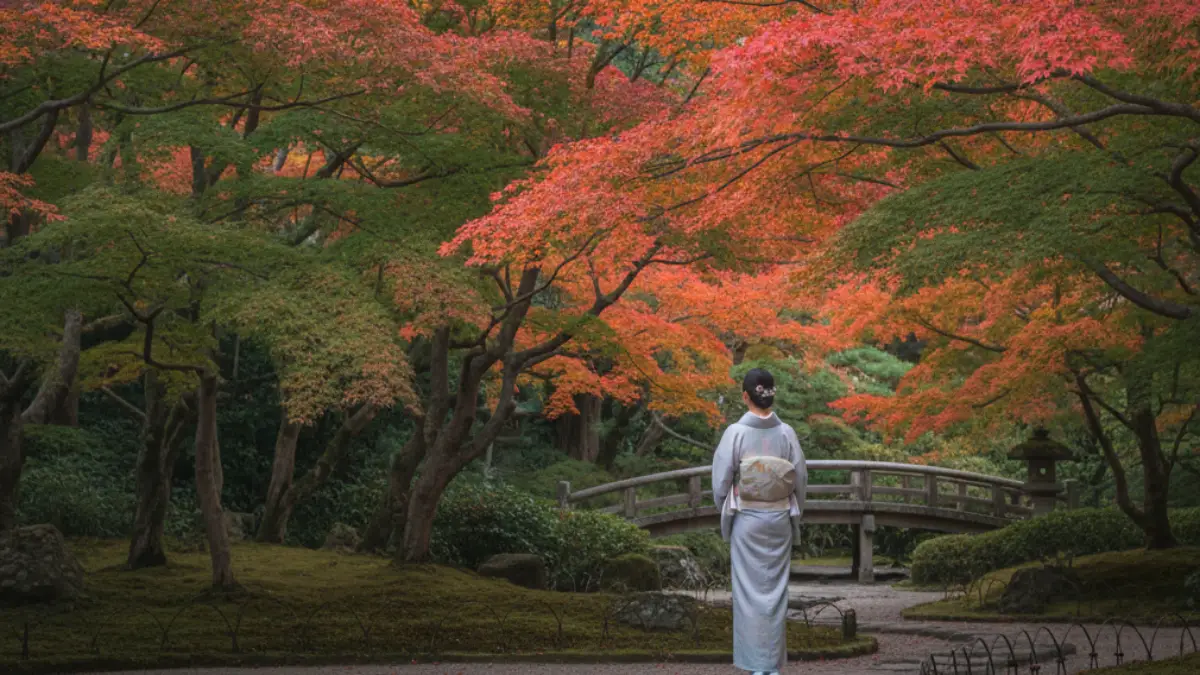 色づき7〜8割の紅葉と着物が調和する秋景色 着物 もみじの見頃イメージ